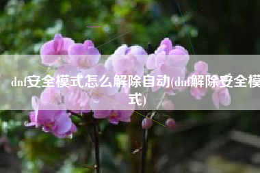 dnf安全模式怎么解除自动(dnf解除安全模式)