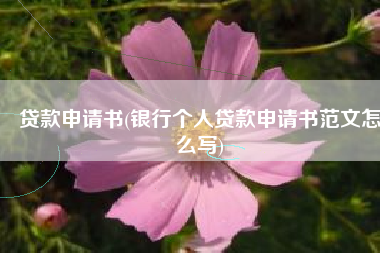 贷款申请书(银行个人贷款申请书范文怎么写)