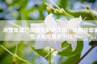 冰雪蜜城店加盟费多少沈阳，沈阳加盟蜜雪冰城需要多少钱