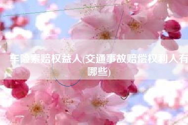 车险索赔权益人(交通事故赔偿权利人有哪些)