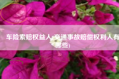车险索赔权益人(交通事故赔偿权利人有哪些)