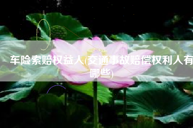 车险索赔权益人(交通事故赔偿权利人有哪些)