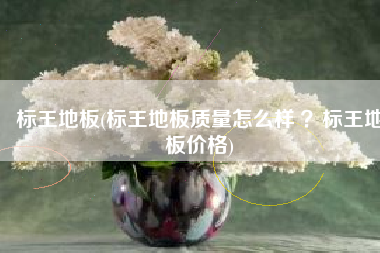 标王地板(标王地板质量怎么样 ？标王地板价格)