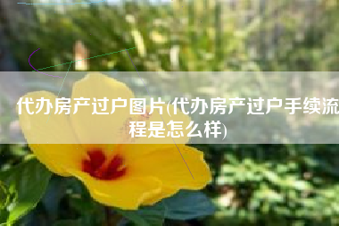 代办房产过户图片(代办房产过户手续流程是怎么样)