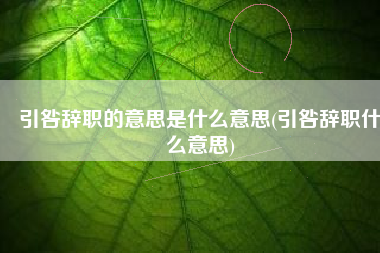 引咎辞职的意思是什么意思(引咎辞职什么意思)