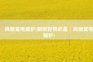 尚朋堂电磁炉(厨房好物必备‖尚朋堂电磁炉)