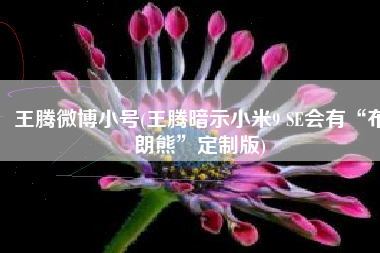 王腾微博小号(王腾暗示小米9 SE会有“布朗熊”定制版)