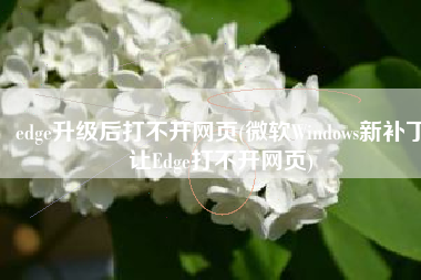 edge升级后打不开网页(微软Windows新补丁让Edge打不开网页)