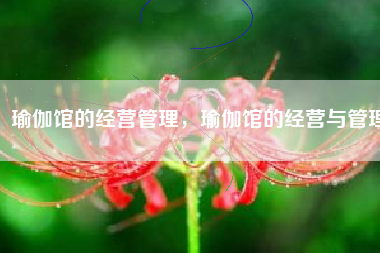 瑜伽馆的经营管理，瑜伽馆的经营与管理