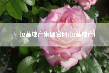 恒基地产集团官网(恒基地产)