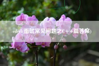 cdecl(面试常见问题之C++篇答案)