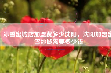 冰雪蜜城店加盟费多少沈阳，沈阳加盟蜜雪冰城需要多少钱
