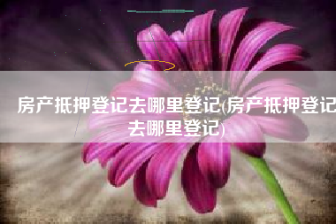 房产抵押登记去哪里登记(房产抵押登记去哪里登记)