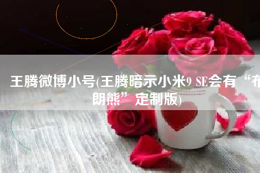 王腾微博小号(王腾暗示小米9 SE会有“布朗熊”定制版)