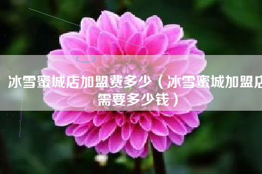 冰雪蜜城店加盟费多少（冰雪蜜城加盟店需要多少钱）