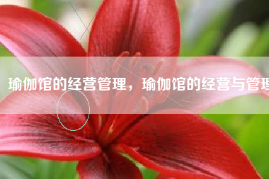 瑜伽馆的经营管理，瑜伽馆的经营与管理