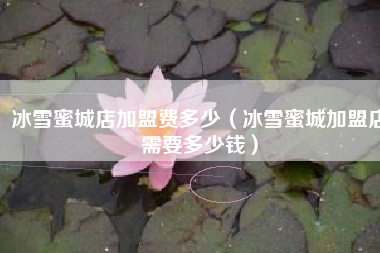 冰雪蜜城店加盟费多少（冰雪蜜城加盟店需要多少钱）