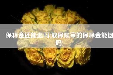 保释金还能退吗(取保候审的保释金能退吗)