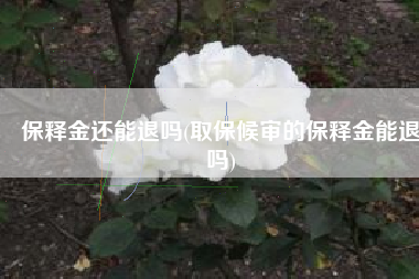 保释金还能退吗(取保候审的保释金能退吗)