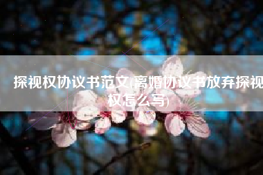 探视权协议书范文(离婚协议书放弃探视权怎么写)