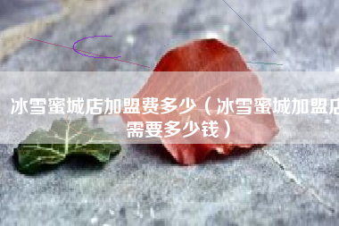 冰雪蜜城店加盟费多少（冰雪蜜城加盟店需要多少钱）
