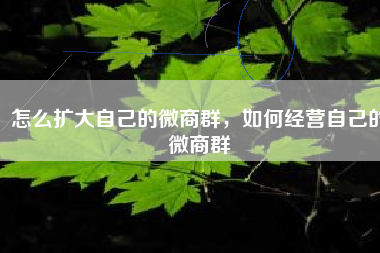 怎么扩大自己的微商群，如何经营自己的微商群