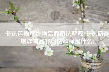 非法运输爆炸物品罪司法解释(非法储存爆炸物品罪司法解释是什么)