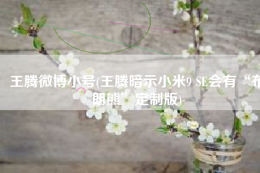 王腾微博小号(王腾暗示小米9 SE会有“布朗熊”定制版)