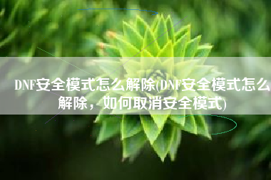 DNF安全模式怎么解除(DNF安全模式怎么解除，如何取消安全模式)