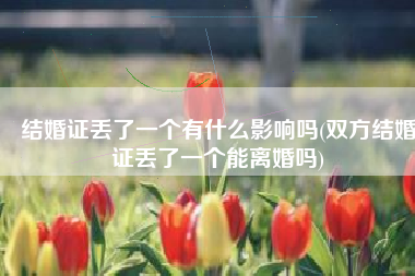 结婚证丢了一个有什么影响吗(双方结婚证丢了一个能离婚吗)