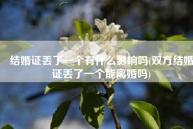 结婚证丢了一个有什么影响吗(双方结婚证丢了一个能离婚吗)