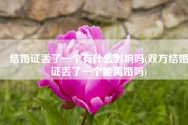 结婚证丢了一个有什么影响吗(双方结婚证丢了一个能离婚吗)