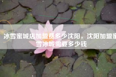 冰雪蜜城店加盟费多少沈阳，沈阳加盟蜜雪冰城需要多少钱