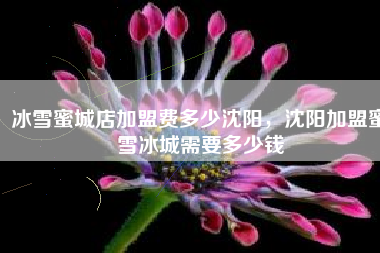冰雪蜜城店加盟费多少沈阳，沈阳加盟蜜雪冰城需要多少钱