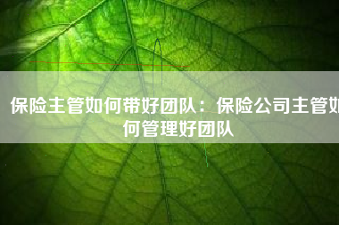 保险主管如何带好团队：保险公司主管如何管理好团队