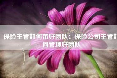 保险主管如何带好团队：保险公司主管如何管理好团队