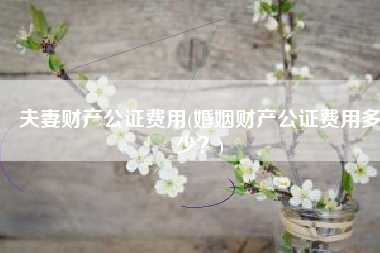 夫妻财产公证费用(婚姻财产公证费用多少？)