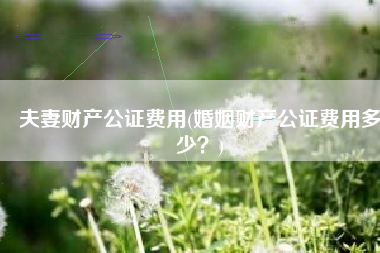 夫妻财产公证费用(婚姻财产公证费用多少？)