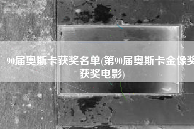90届奥斯卡获奖名单(第90届奥斯卡金像奖获奖电影)