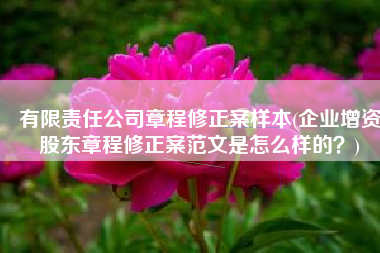 有限责任公司章程修正案样本(企业增资股东章程修正案范文是怎么样的？)