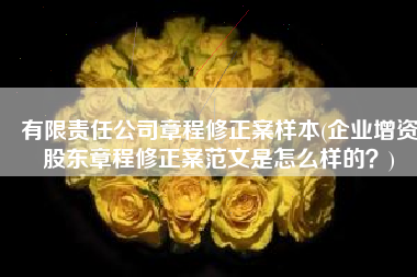 有限责任公司章程修正案样本(企业增资股东章程修正案范文是怎么样的？)