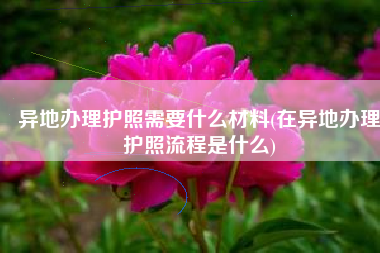 异地办理护照需要什么材料(在异地办理护照流程是什么)