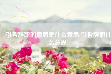引咎辞职的意思是什么意思(引咎辞职什么意思)