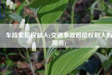 车险索赔权益人(交通事故赔偿权利人有哪些)