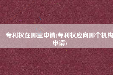 专利权在哪里申请(专利权应向哪个机构申请)