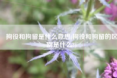 拘役和拘留是什么意思(拘役和拘留的区别是什么?)