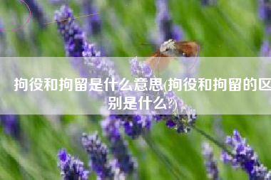 拘役和拘留是什么意思(拘役和拘留的区别是什么?)
