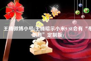 王腾微博小号(王腾暗示小米9 SE会有“布朗熊”定制版)