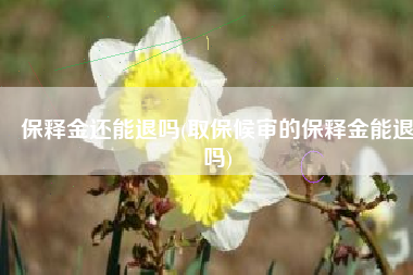 保释金还能退吗(取保候审的保释金能退吗)