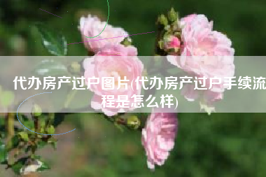 代办房产过户图片(代办房产过户手续流程是怎么样)